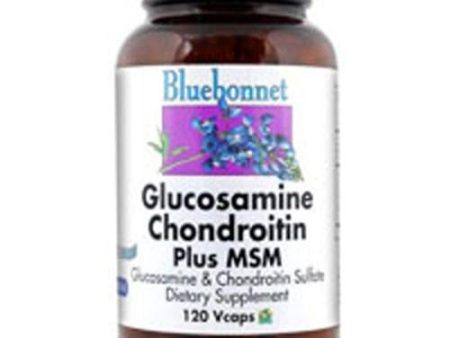 Glucosamine Chondroitin Plus Msm 120VC By Bluebonnet Nutrition For Sale