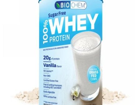 100% Whey Protein Sugar Free Coconut 11.2 Oz By Biochem Online now