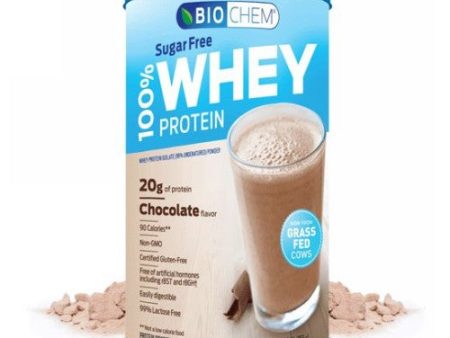 100% Whey Sugarfree Chocolate 12.5 Oz By Biochem Online Sale