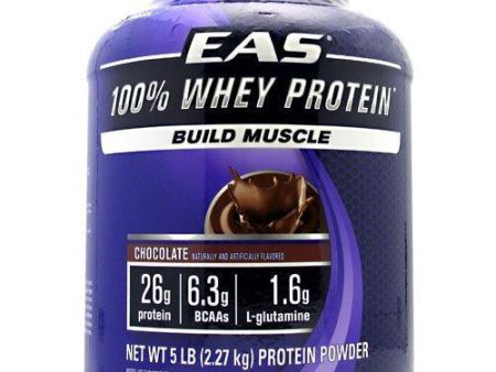 100% Whey Protein Powder - Chocolate 5 LB Cheap