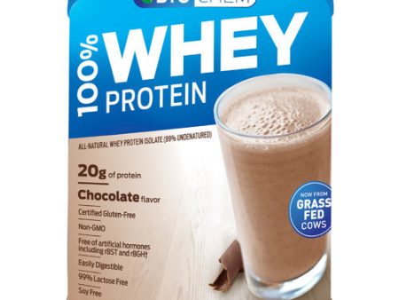 100% Whey Protein Powder Chocolate 1.8 lb By Biochem Hot on Sale