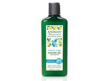 Shower Gel Energizing Clementine Ginger 11 oz By Andalou Naturals Online Hot Sale