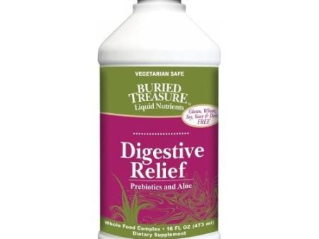 Digestive Relief 16 fl oz By Buried Treasure Online Sale