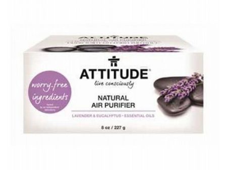 Bio Absorbant Natural Air Purifier Mint 8 Oz By Attitude Online Hot Sale