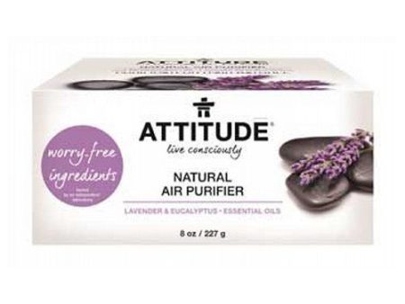 Bio Absorbant Natural Air Purifier Lavender 8 Oz By Attitude Fashion