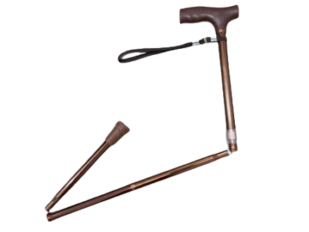 Walking Stick Removable (FS9276L) Hot on Sale